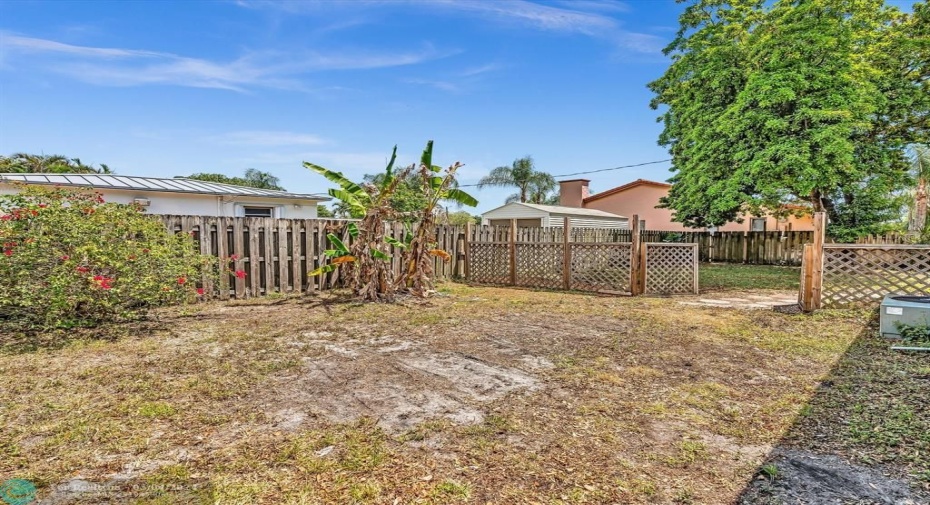 Large Yard with Fruit Trees