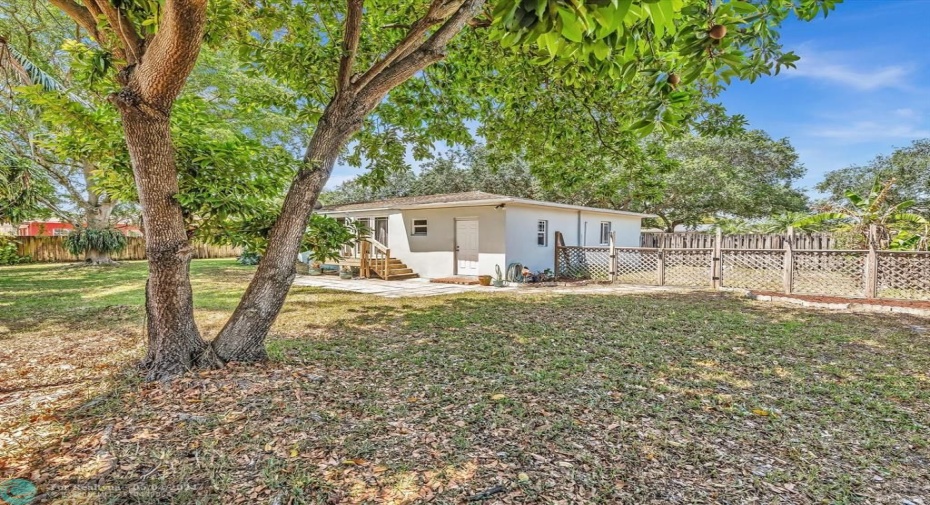 Expansive Back and Side Yard.