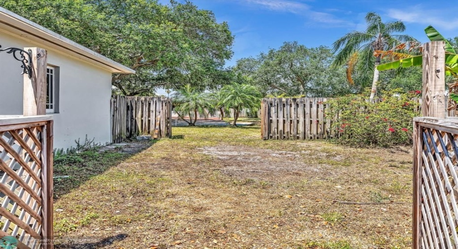 Backyard exit to Side Yard next to Garage