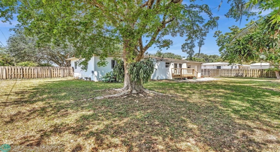 Expansive Side and Back Yards