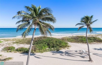 Beachfront View from Building