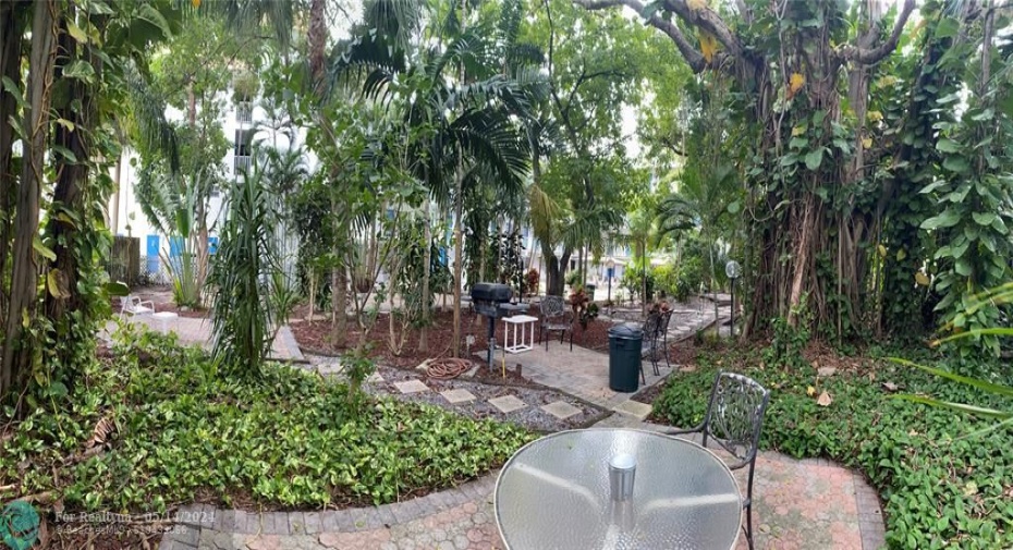 Courtyard tropical gardens