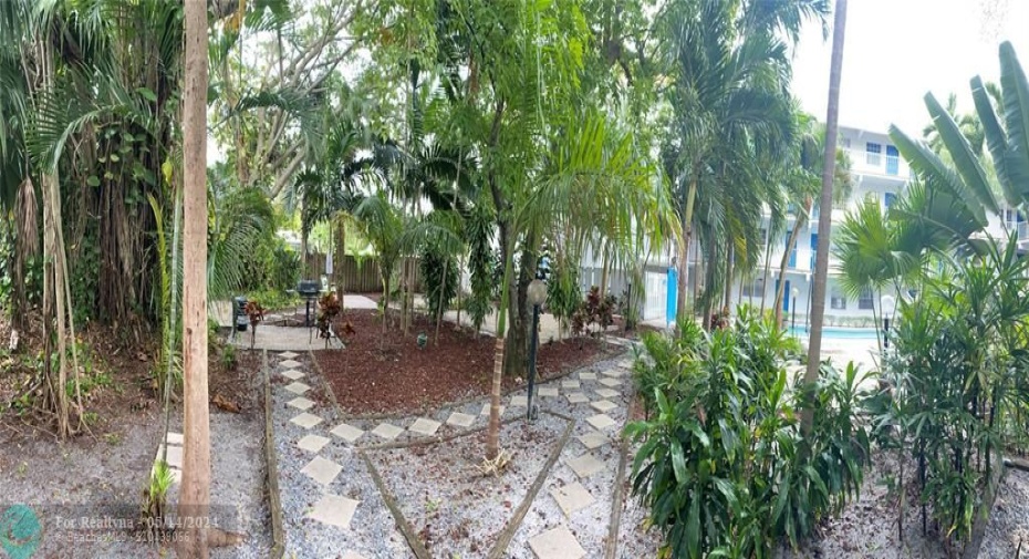 Courtyard tropical gardens