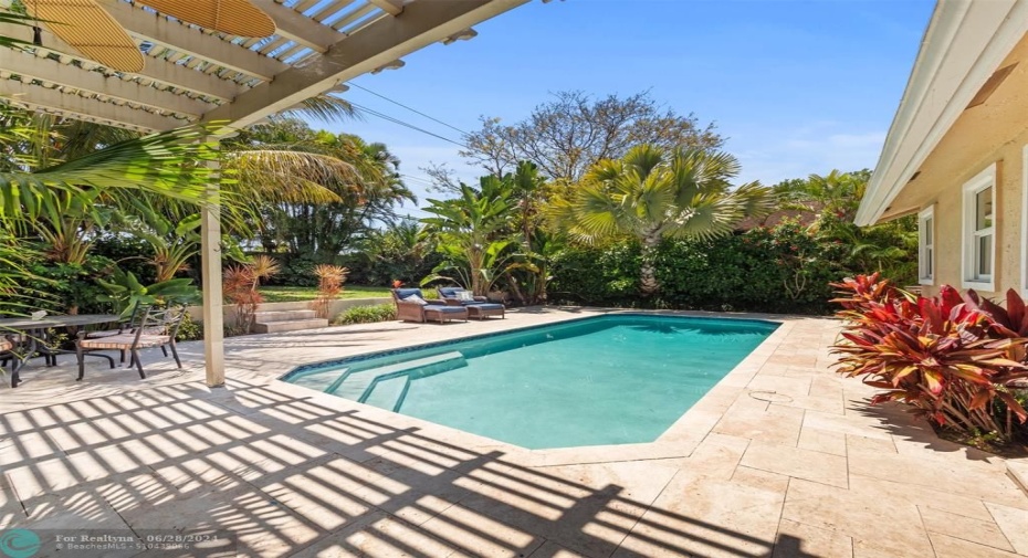 Tropical oasis backyard