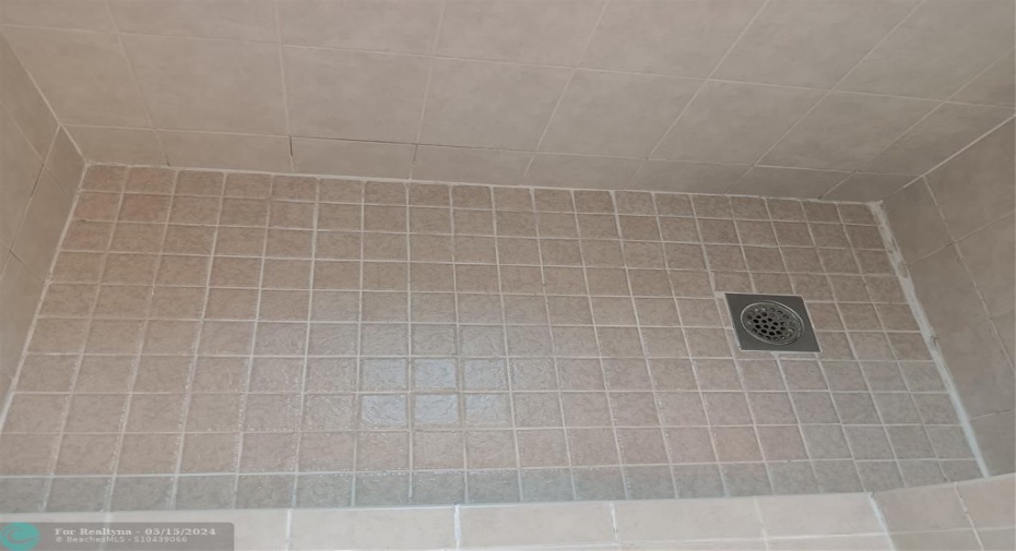 Renovated All Tile Master Shower