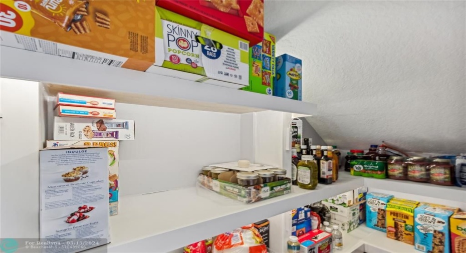 Pantry under stairs with automatic lighting