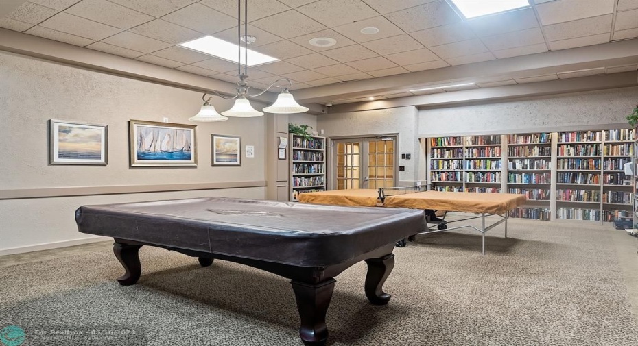 Billard Room/Ping-Pong Room