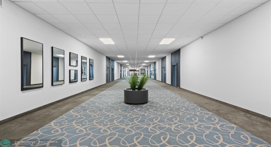 commercial hallway