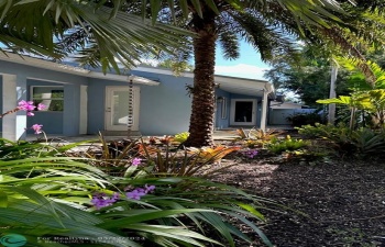 Front Door and Beautiful Front Garden