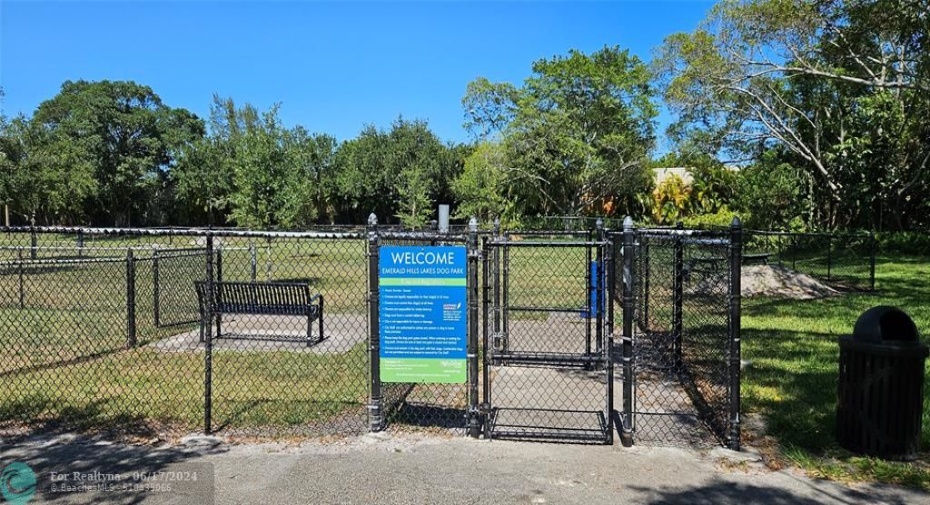 Dog Park:  the other 