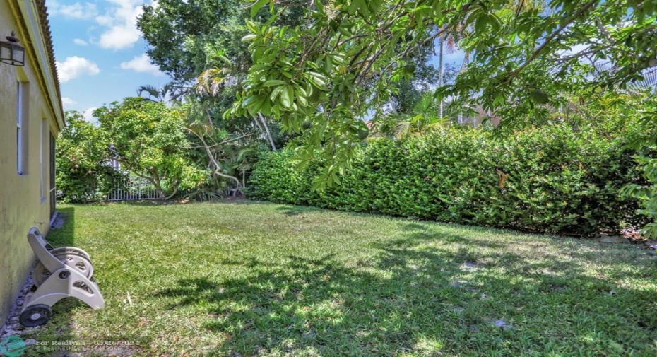 Large Landscaped Yard with Privacy