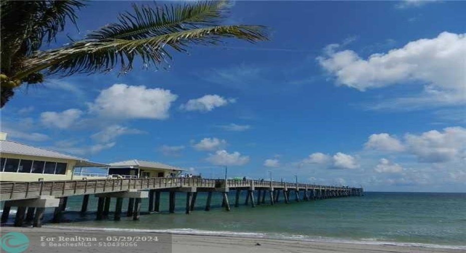 DANIA PIER