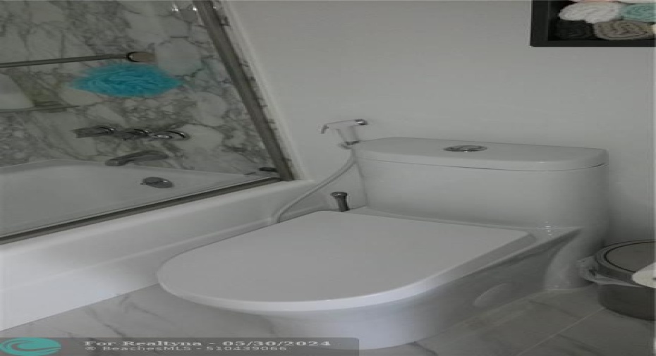 Main bathroom toilet & shower/tub