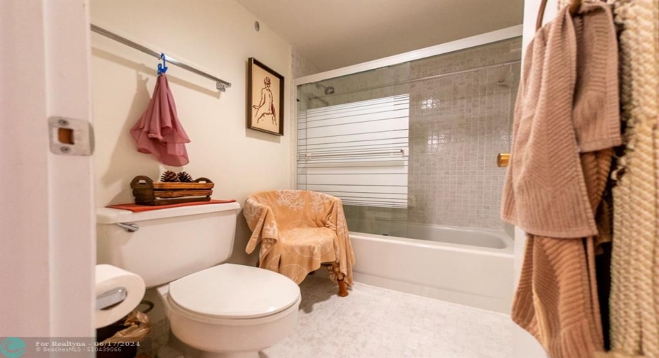 Tub/shower combo in main bath