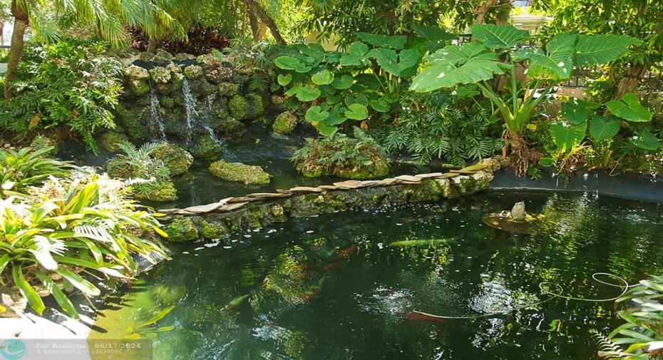 Koi pond at building entry under portico
