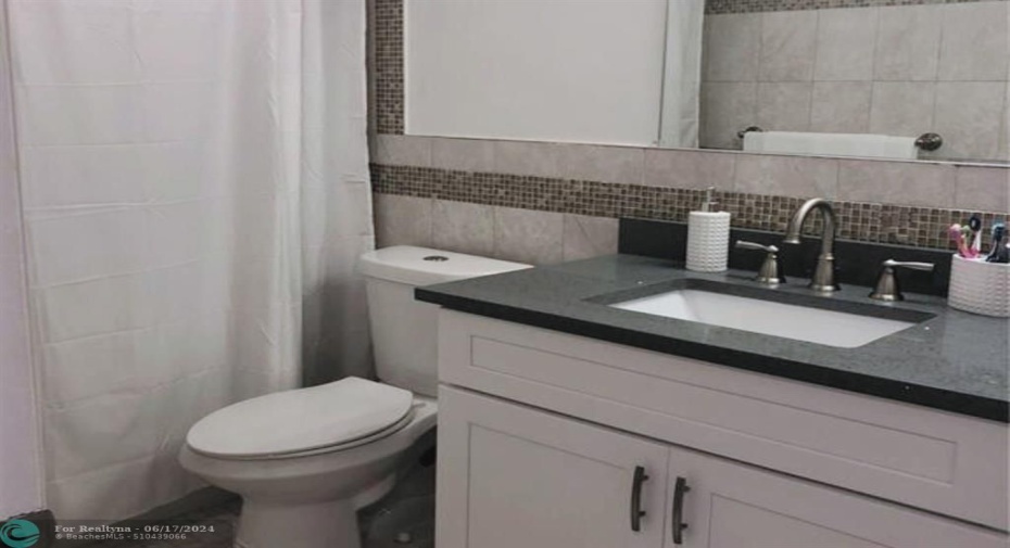 Primary Bath with Combined Shower/Tub - Newer Vanity and commode