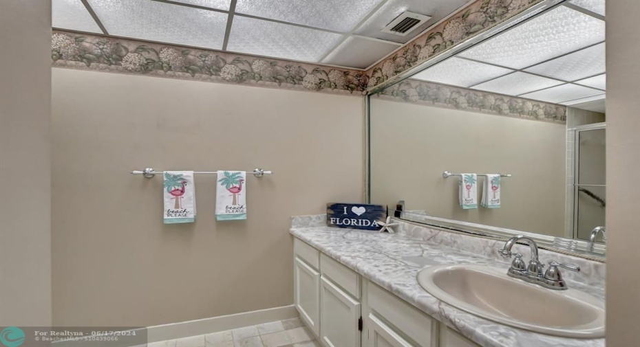 LARGE guest bath with vanity and linen closet.