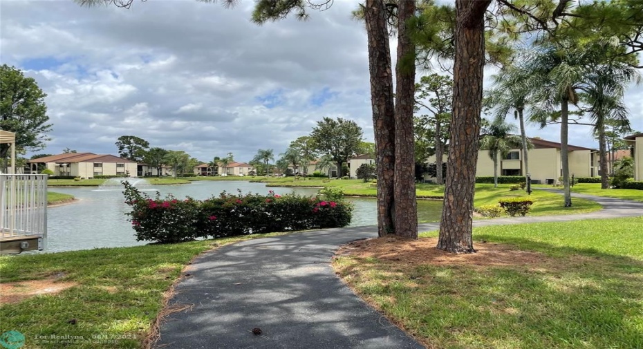 Lakes and Walking Path