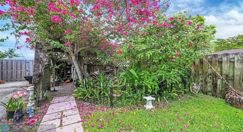 Extended driveway behind fence for boat or RV, plus private slatted orchid garden with walkway