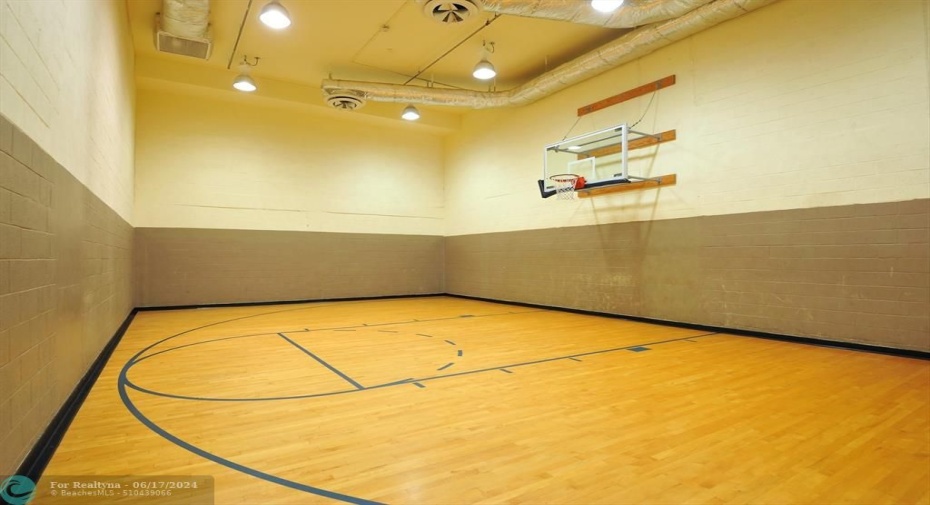 2 Story Gym- Basketball Court