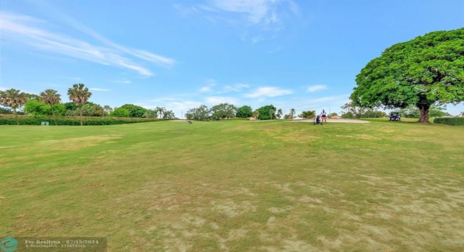 Backyard golf course view!