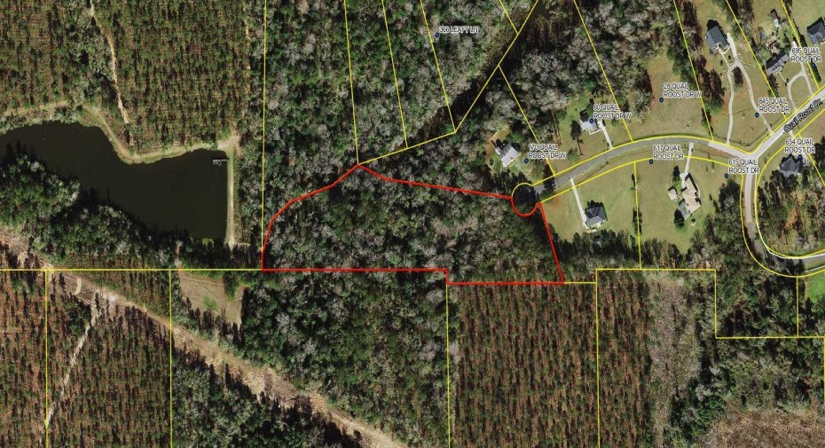 Tbd W Quail Roost Drive, Quincy, Florida 32352, ,C,For Sale,Quail Roost,RX-10944229