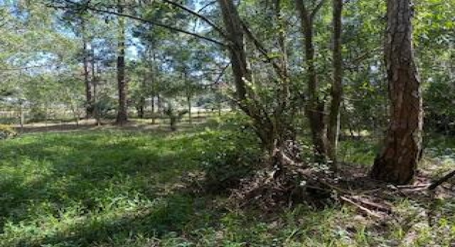 000 129th Avenue, The Acreage, Florida 33411, ,C,For Sale,129th,RX-10957968