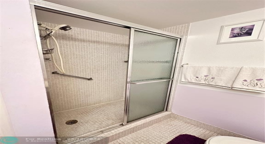 Shower Stall in Guest Bathroom