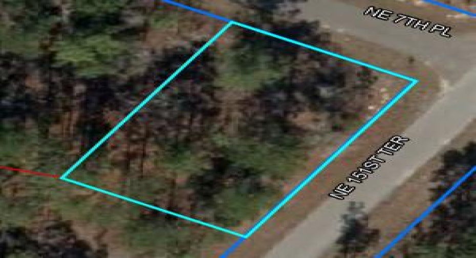 Lot1 Blk87 NE 7th Pl Place, Williston, Florida 32696, ,C,For Sale,7th Pl,RX-10970996