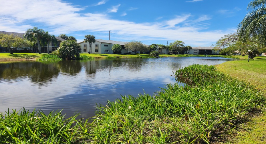 3105 SE Aster Lane Unit 1806, Stuart, Florida 34994, 2 Bedrooms Bedrooms, ,2 BathroomsBathrooms,Residential Lease,For Rent,Aster,2,RX-10917373