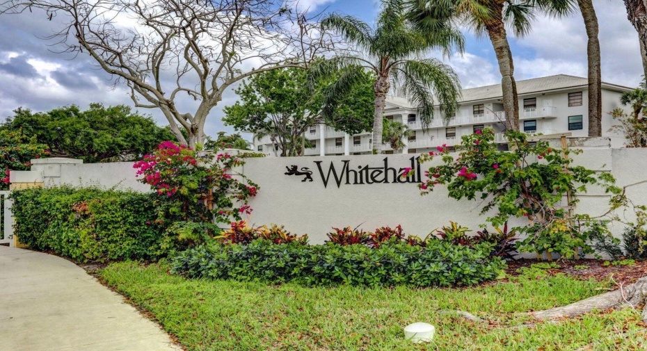 3636 Whitehall Drive Unit 304, West Palm Beach, Florida 33401, 2 Bedrooms Bedrooms, ,2 BathroomsBathrooms,Residential Lease,For Rent,Whitehall,3,RX-10937496