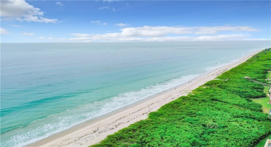 4250 N Highway A1a Unit 702, Hutchinson Island, Florida 34949, 2 Bedrooms Bedrooms, ,2 BathroomsBathrooms,Residential Lease,For Rent,Highway A1a,7,RX-10960173