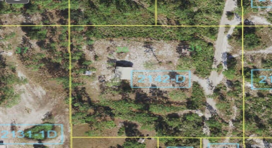 Tbd Holopaw Groves Road, St. Cloud, Florida 34771, ,C,For Sale,Holopaw Groves,RX-10962853