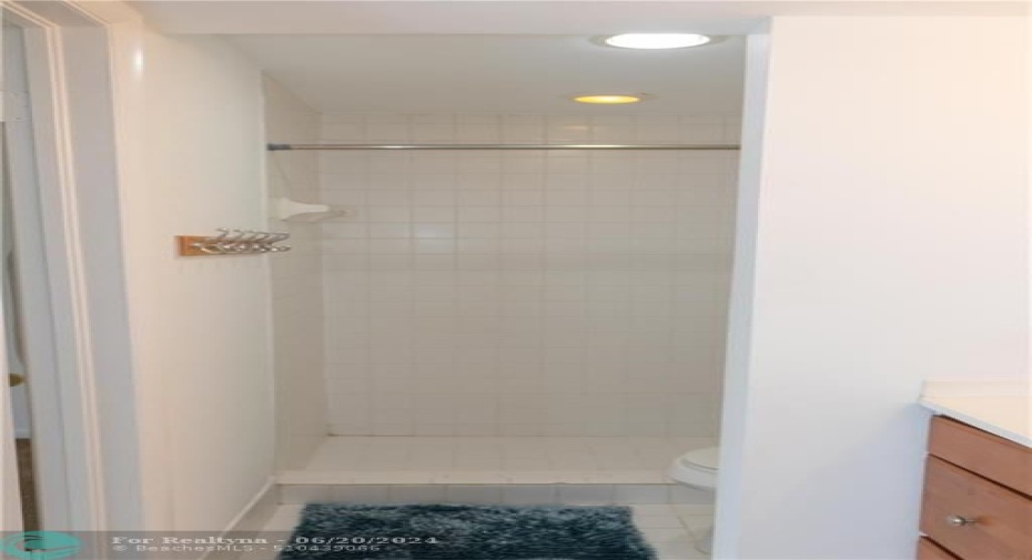 Primary bathroom with walk-in shower