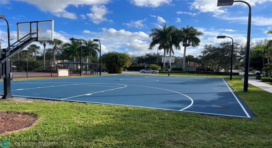 Basketball Court