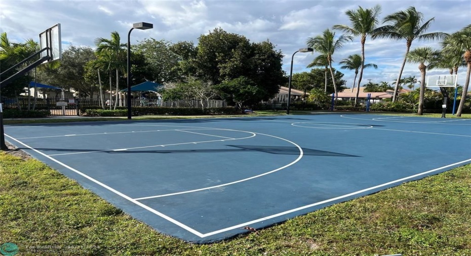 Basketball Court