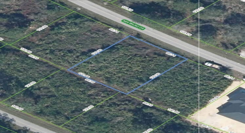 7034 San Bruno Drive, Sebring, Florida 33872, ,C,For Sale,San Bruno,RX-10919610