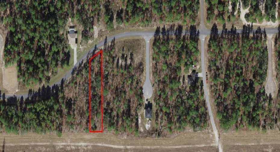 2168 W Riley Drive, Citrus Springs, Florida 34434, ,C,For Sale,Riley,RX-10868708