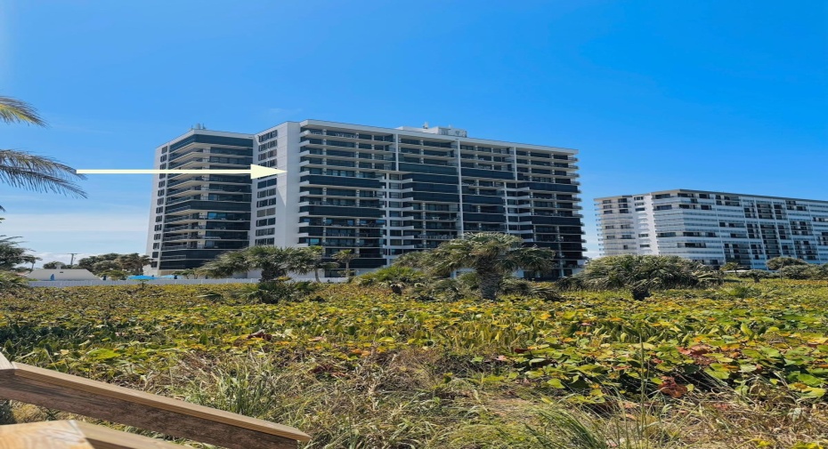 3100 N Highway A1a Unit 1205, Hutchinson Island, Florida 34949, 2 Bedrooms Bedrooms, ,2 BathroomsBathrooms,Residential Lease,For Rent,Highway A1a,12,RX-10987026