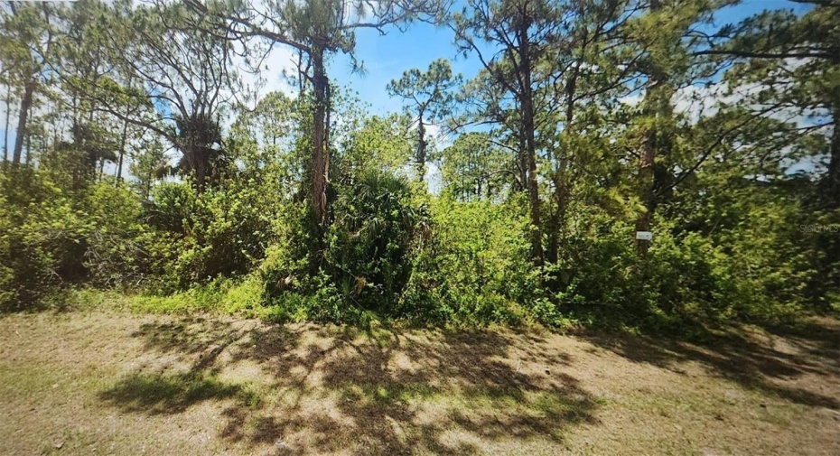 8010 Rolling Circle, Labelle, Florida 33935, ,C,For Sale,Rolling,RX-10989677