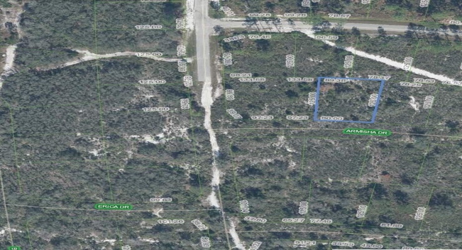 8214 Armisha Drive, Sebring, Florida 33872, ,C,For Sale,Armisha,RX-10989791