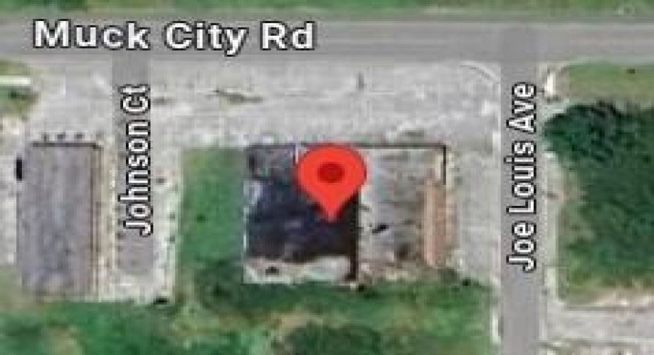 1474 Muck City Road, Pahokee, Florida 33476, ,E,For Sale,Muck City,RX-10990451