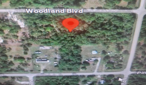724 Woodland Boulevard, Clewiston, Florida 33440, ,C,For Sale,Woodland,RX-10992128