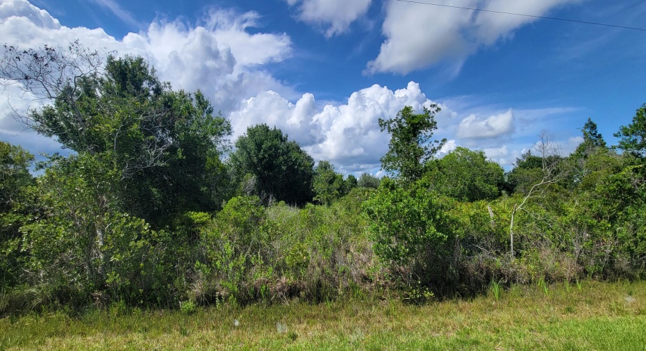 17323 NW 288th Street, Okeechobee, Florida 34972, ,C,For Sale,288th,RX-10993329