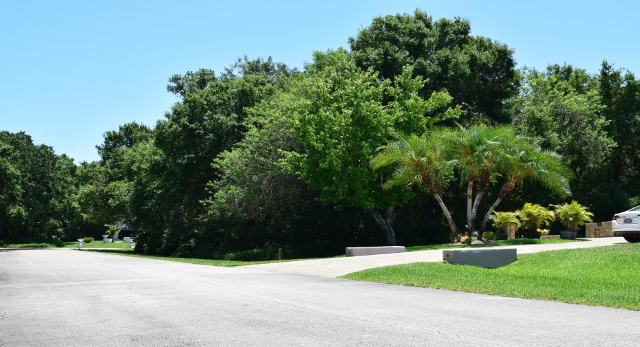 8675 Pine Martin Lane, Fort Pierce, Florida 34947, ,C,For Sale,Pine Martin,RX-10994817