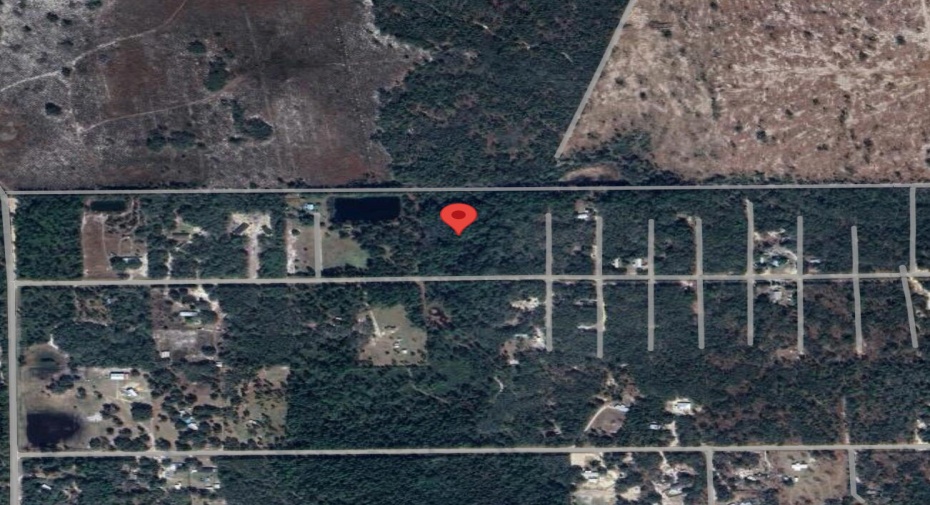 138 Pine Tree Drive, Palatka, Florida 32177, ,C,For Sale,Pine Tree,RX-10995375