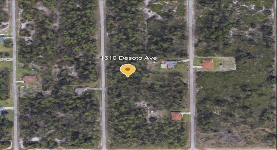 1610 Desoto Avenue, Lehigh Acres, Florida 33972, ,C,For Sale,Desoto,RX-10997945