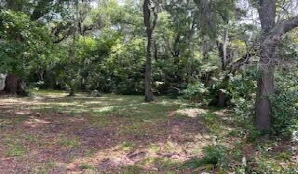 Tbd 12th Street, Gainesville, Florida 32641, ,C,For Sale,12th,RX-10985937