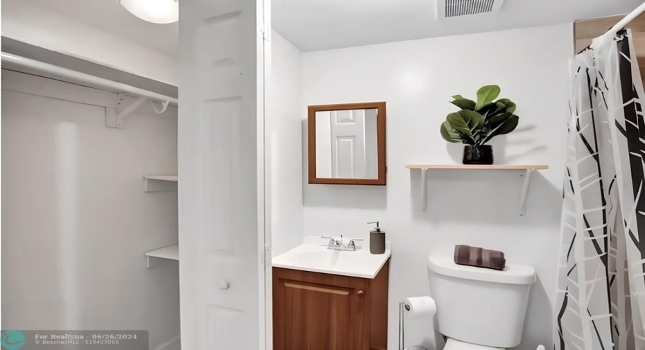 In Law Suite, Bathroom with closet