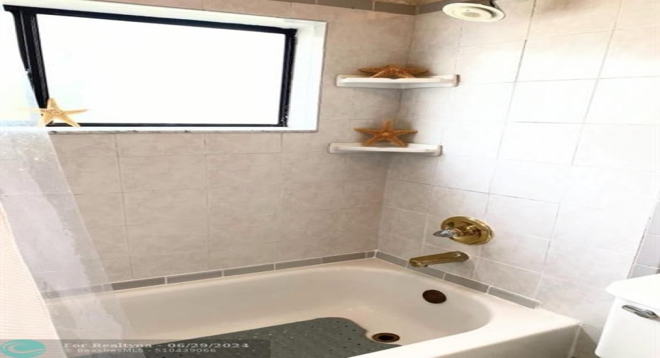 Guest Bathtub, shower and window